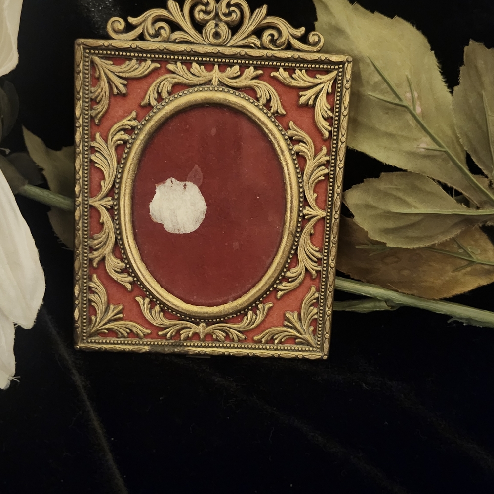 Ornate Gold and Red Picture Frame